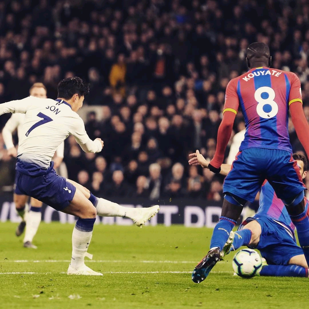 总能凭借主 总能凭借主